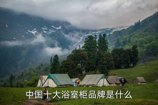 法恩羅衛(wèi)浴,這些品牌的十大名牌