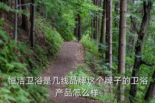  恒潔衛(wèi)浴是幾線品牌這個(gè)牌子的衛(wèi)浴產(chǎn)品怎么樣