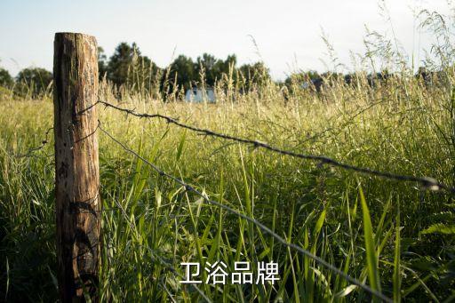  衛(wèi)浴品牌