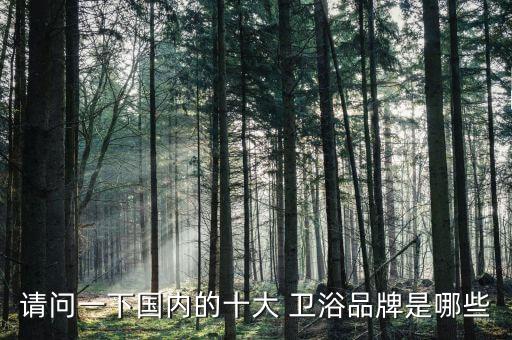 請(qǐng)問一下國(guó)內(nèi)的十大 衛(wèi)浴品牌是哪些