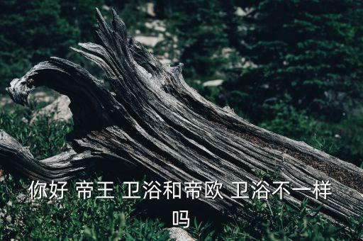 香港帝王衛(wèi)浴怎么樣,一文讀懂!帝王衛(wèi)浴的服務(wù)承諾