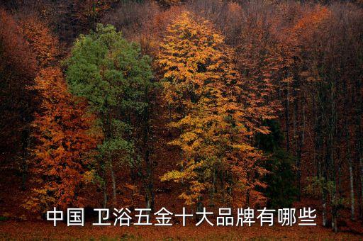 衛(wèi)浴掛架,衛(wèi)浴五金貫穿整個衛(wèi)浴生活方便使用