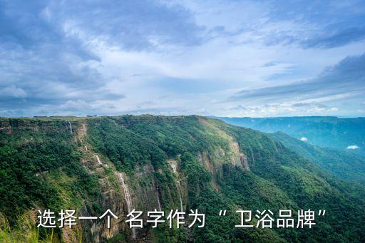 選擇一個 名字作為“ 衛(wèi)浴品牌”