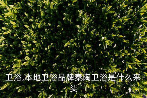 中陶衛(wèi)浴,本地衛(wèi)浴品牌秦陶衛(wèi)浴是什么來頭?