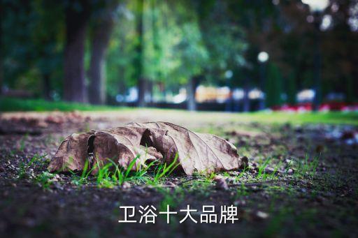 衛(wèi)浴十大品牌
