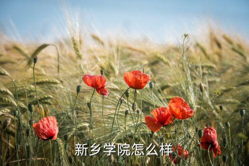 新鄉(xiāng)學院怎么樣