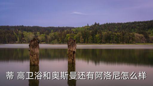 蒂 高衛(wèi)浴和奧斯曼還有阿洛尼怎么樣