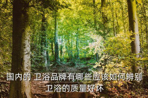 國內(nèi)的 衛(wèi)浴品牌有哪些應(yīng)該如何辨別 衛(wèi)浴的質(zhì)量好壞