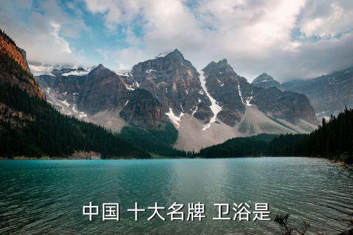 中國 十大名牌 衛(wèi)浴是