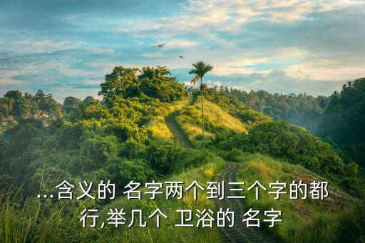 適合衛(wèi)浴的名字洋氣一點的,衛(wèi)生最重要是放松和享受