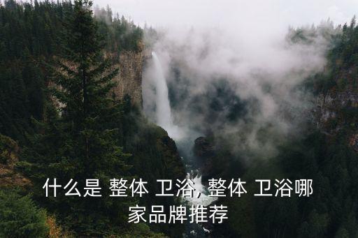 整體衛(wèi)浴生產(chǎn),意大利整體衛(wèi)浴怎么做?