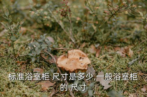 衛(wèi)浴柜 尺寸,浴室柜尺寸可根據家庭成員身高和使用習慣設置
