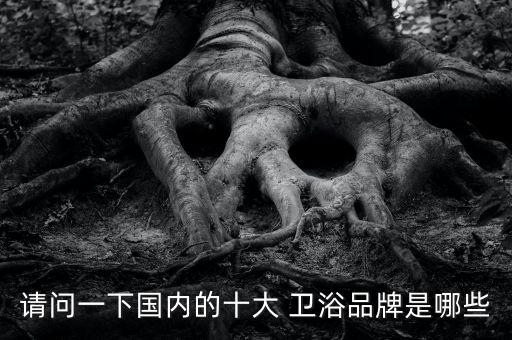 輝煌潔具衛(wèi)浴品牌,買衛(wèi)浴產(chǎn)品不應(yīng)以品牌為首要因素
