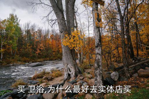 衛(wèi)浴 導購主題,在實體店購買衛(wèi)浴產(chǎn)品可先試后買