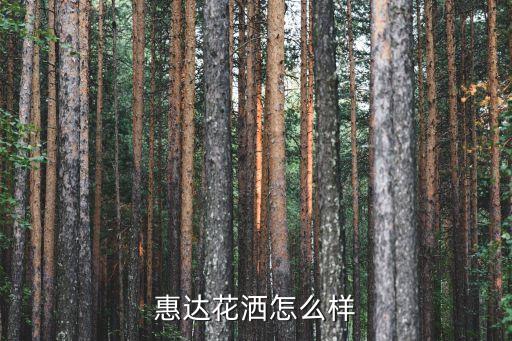 北京哪里賣惠達(dá)衛(wèi)浴,慧達(dá)衛(wèi)浴已發(fā)展成全球性衛(wèi)浴綜合性品牌