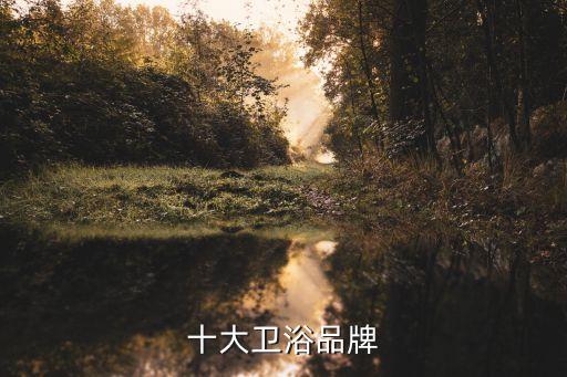吉美衛(wèi)浴普通裙浴缸,中國(guó)十大衛(wèi)浴品牌之一:ssww朗鯨衛(wèi)浴