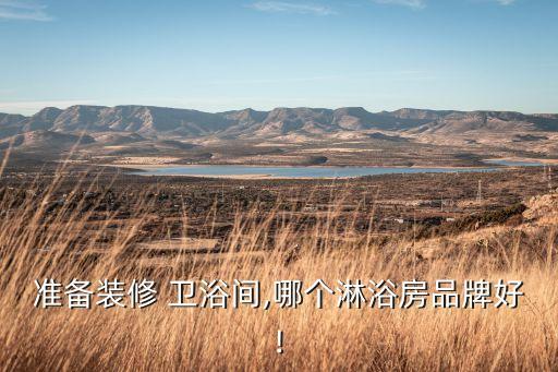 準(zhǔn)備裝修 衛(wèi)浴間,哪個(gè)淋浴房品牌好!