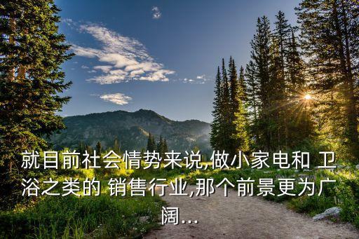 就目前社會(huì)情勢(shì)來說,做小家電和 衛(wèi)浴之類的 銷售行業(yè),那個(gè)前景更為廣闊...