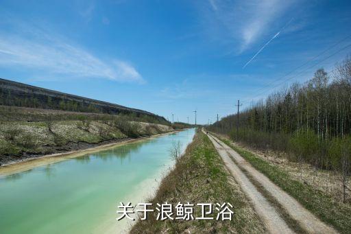 南希衛(wèi)浴 價(jià)格,馬桶也要講究顏值!比亞迪和金牌質(zhì)量都不錯(cuò)