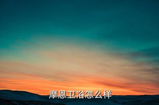  摩恩衛(wèi)浴怎么樣