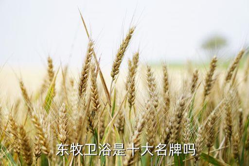 東牧衛(wèi)浴地址,泉州東牧衛(wèi)浴有限公司是中國十大品牌之一