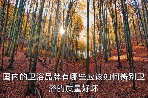 國(guó)內(nèi)的衛(wèi)浴品牌有哪些應(yīng)該如何辨別衛(wèi)浴的質(zhì)量好壞