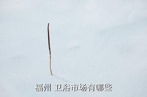 丹陽(yáng)衛(wèi)浴專賣店,福州有很多市場(chǎng)需要我們提供衛(wèi)浴產(chǎn)品