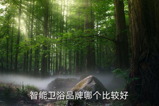 南昌鷹衛(wèi)浴,我自己用的衛(wèi)浴品牌安華衛(wèi)浴、科勒衛(wèi)浴等推薦