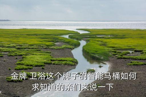  金牌 衛(wèi)浴這個牌子的智能馬桶如何求知道的親們來說一下