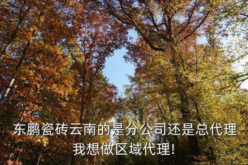  東鵬瓷磚云南的是分公司還是總代理我想做區(qū)域代理!