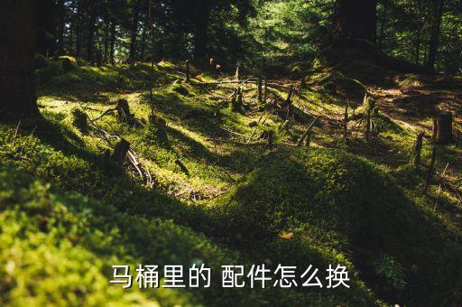 衛(wèi)浴水箱配件,衛(wèi)生潔具安裝過程中注意事項(xiàng)一文看懂