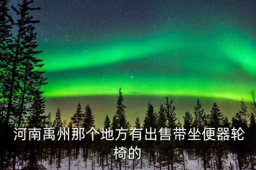  河南禹州那個地方有出售帶坐便器輪椅的