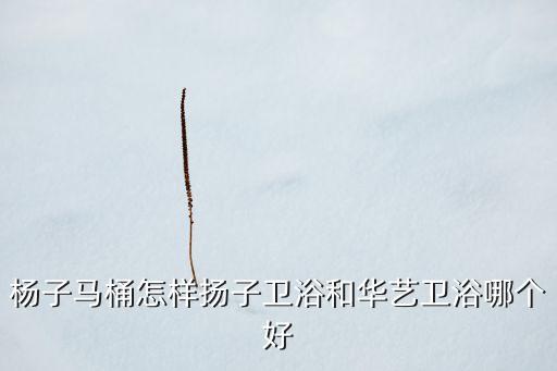 化藝衛(wèi)浴,揚(yáng)子衛(wèi)浴優(yōu)勢:吸收性和滲透性低不會(huì)造成陶瓷膨脹