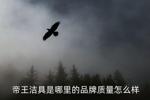  帝王潔具是哪里的品牌質(zhì)量怎么樣