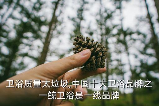 浪鯨衛(wèi)浴質(zhì)量太垃圾,中國(guó)十大衛(wèi)浴品牌之一鯨衛(wèi)浴是一線品牌?