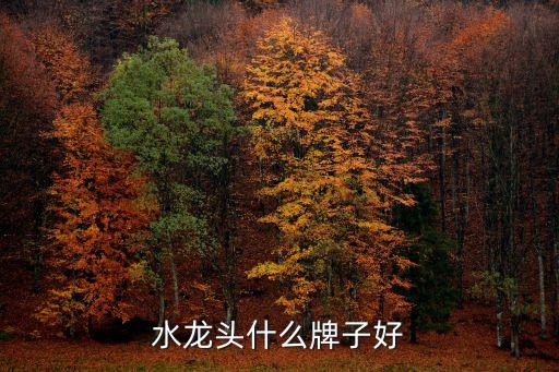 龍整體衛(wèi)浴,中國衛(wèi)浴十大品牌榜水龍頭最搶手