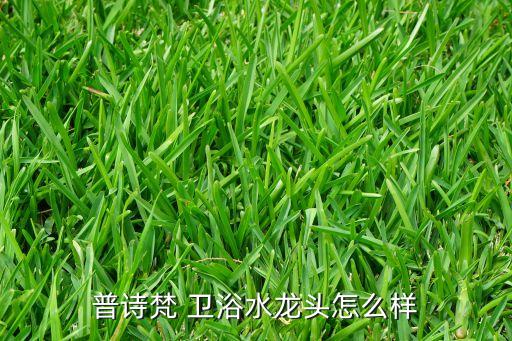 衛(wèi)浴水,為什么選擇陶瓷水龍頭?答案揭曉!