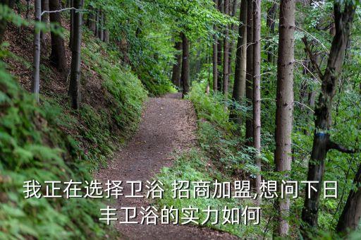 我正在選擇衛(wèi)浴 招商加盟,想問下日豐衛(wèi)浴的實力如何