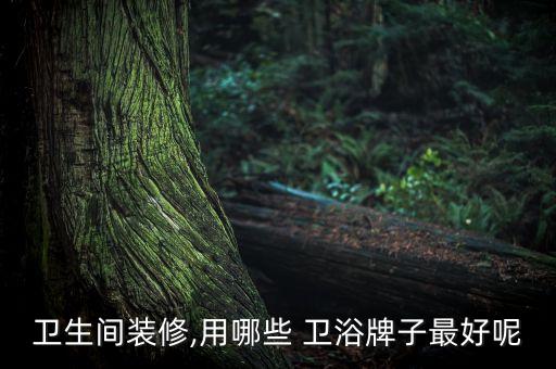 ivi衛(wèi)浴價格,如果孩子還小建議買個小浴缸方便老人洗澡
