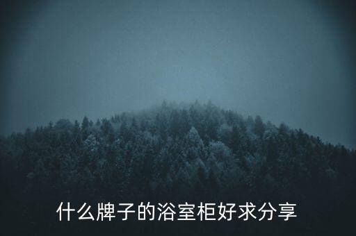 什么牌子的浴室柜好求分享