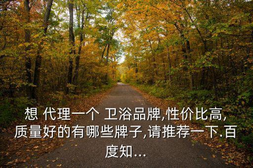 株洲衛(wèi)浴代理,代理衛(wèi)浴產(chǎn)品賺大錢?