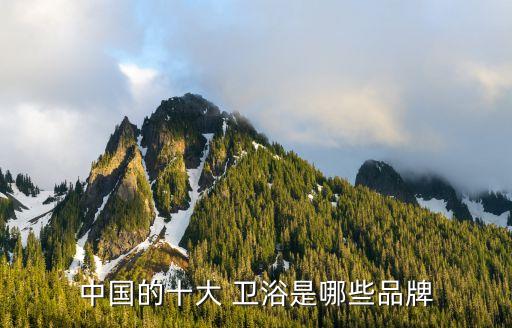 中國的十大 衛(wèi)浴是哪些品牌