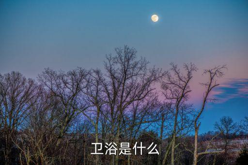  衛(wèi)浴是什么