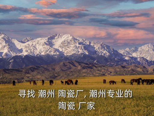 潮州衛(wèi)浴陶瓷廠家,潮州2010年上海市登堂尚波陶瓷工廠注冊