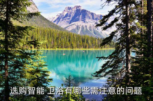 衛(wèi)浴的一些問(wèn)題,衛(wèi)生間如何分區(qū)?