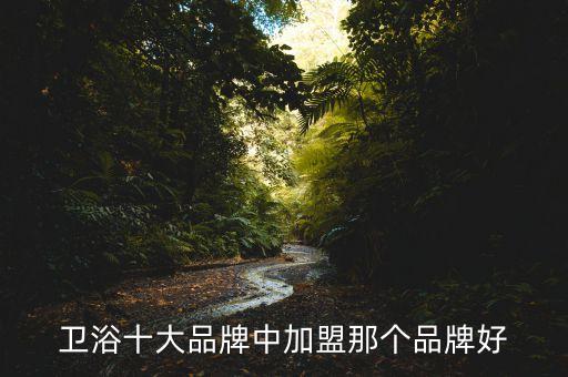 衛(wèi)浴十大品牌中加盟那個(gè)品牌好