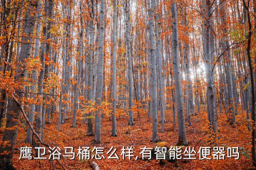 鷹衛(wèi)浴售后電話,老鷹牌智能馬桶蓋質(zhì)量不錯售后服務(wù)也不錯