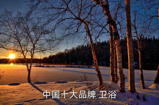 中國(guó)十大品牌 衛(wèi)浴