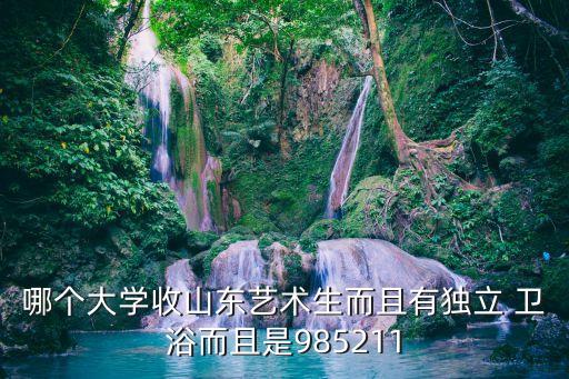 2015本科衛(wèi)浴,學校所有宿舍均為獨立衛(wèi)生間無公用衛(wèi)浴