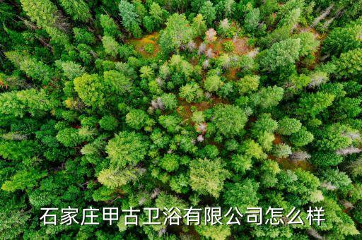 石家莊去哪里買衛(wèi)浴,可到石家莊的建材裝飾商場購買水箱